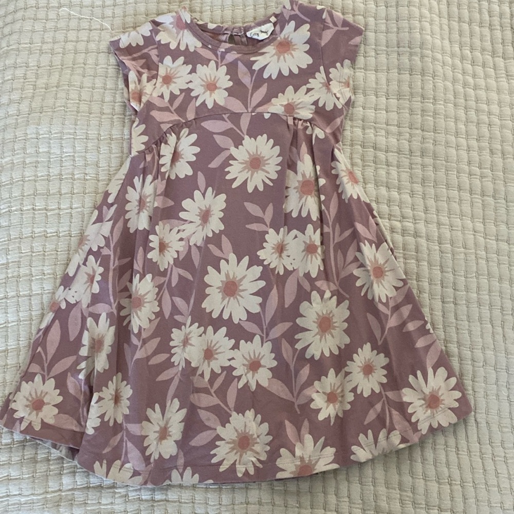 City Mouse floral dress